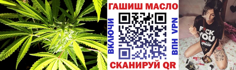 Купить  Светогорск  ТГК концентрат 