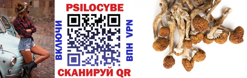 Галлюциногенные грибы прущие грибы  Купить закладки  Светогорск 